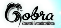 Gobra Logo